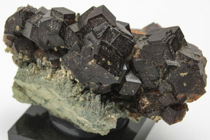 Andradite Garnets on Hedenbergite - Greece #208759